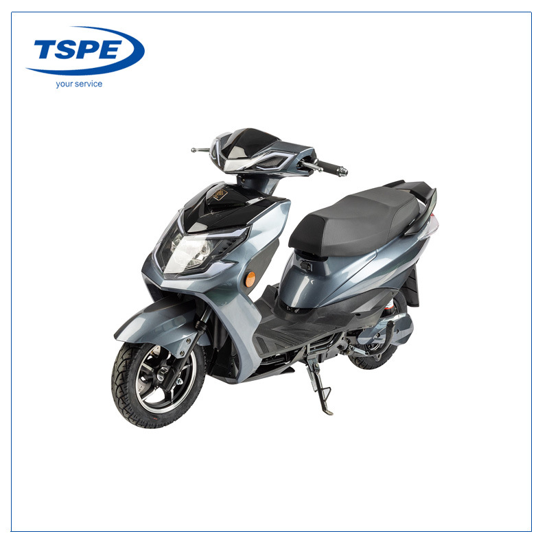 Batería de litio Moto eléctrica Scooter eléctrico para Tsxy-VII